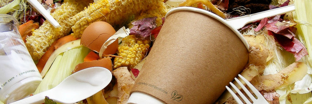 Biodegradable Vs. Compostable - What You Need To Look Out For