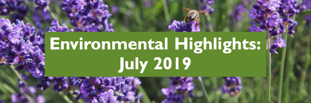 July 2019 - Environmental Highlights
