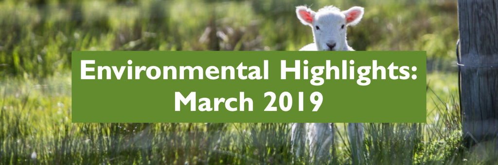 March 2019 - Environmental Highlights