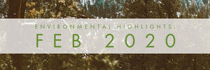 February 2020 - Environmental Highlights