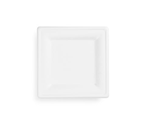 Sugarcane Square Plate - 8inch